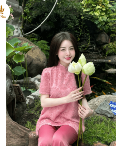 Pháp phục pháp hoa