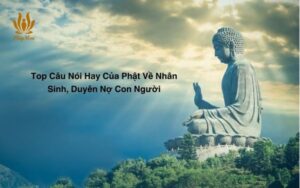 Câu Nói Hay Của Phật